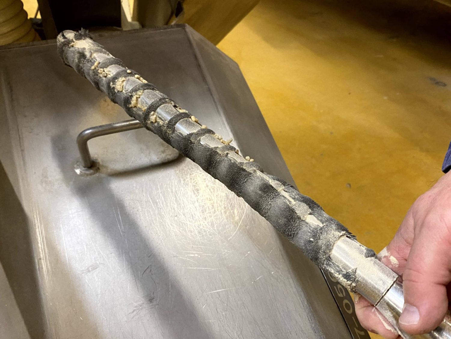 Rod 10 scaled