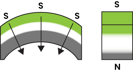 Radially orientedAUS