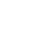 AutoIcon