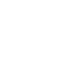 vernier-icon